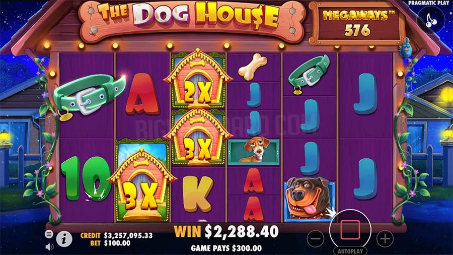 The Dog House Megaways slot review