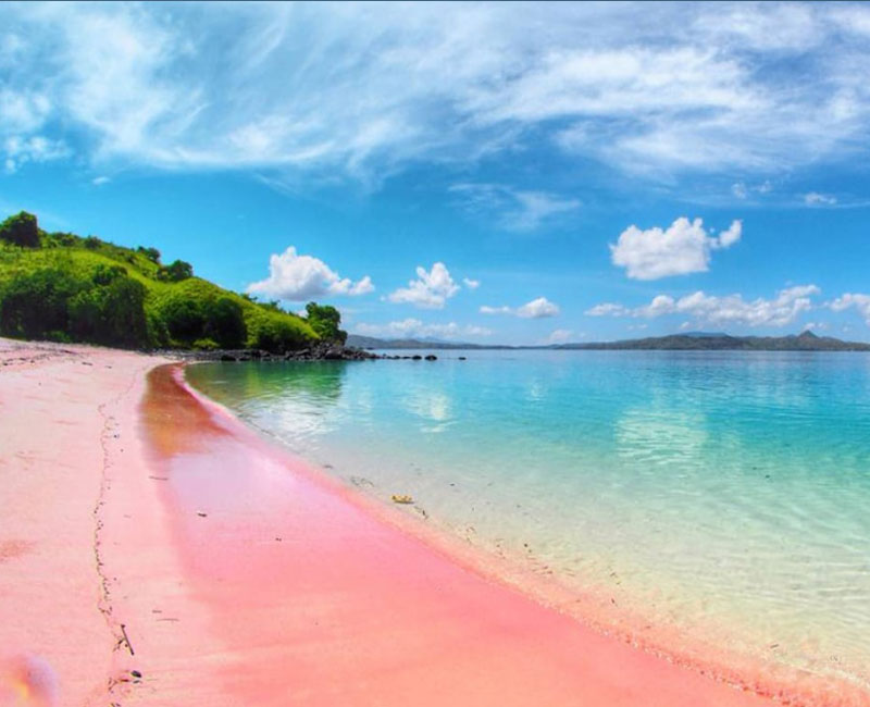 Tiket Masuk Pantai Pink Lombok